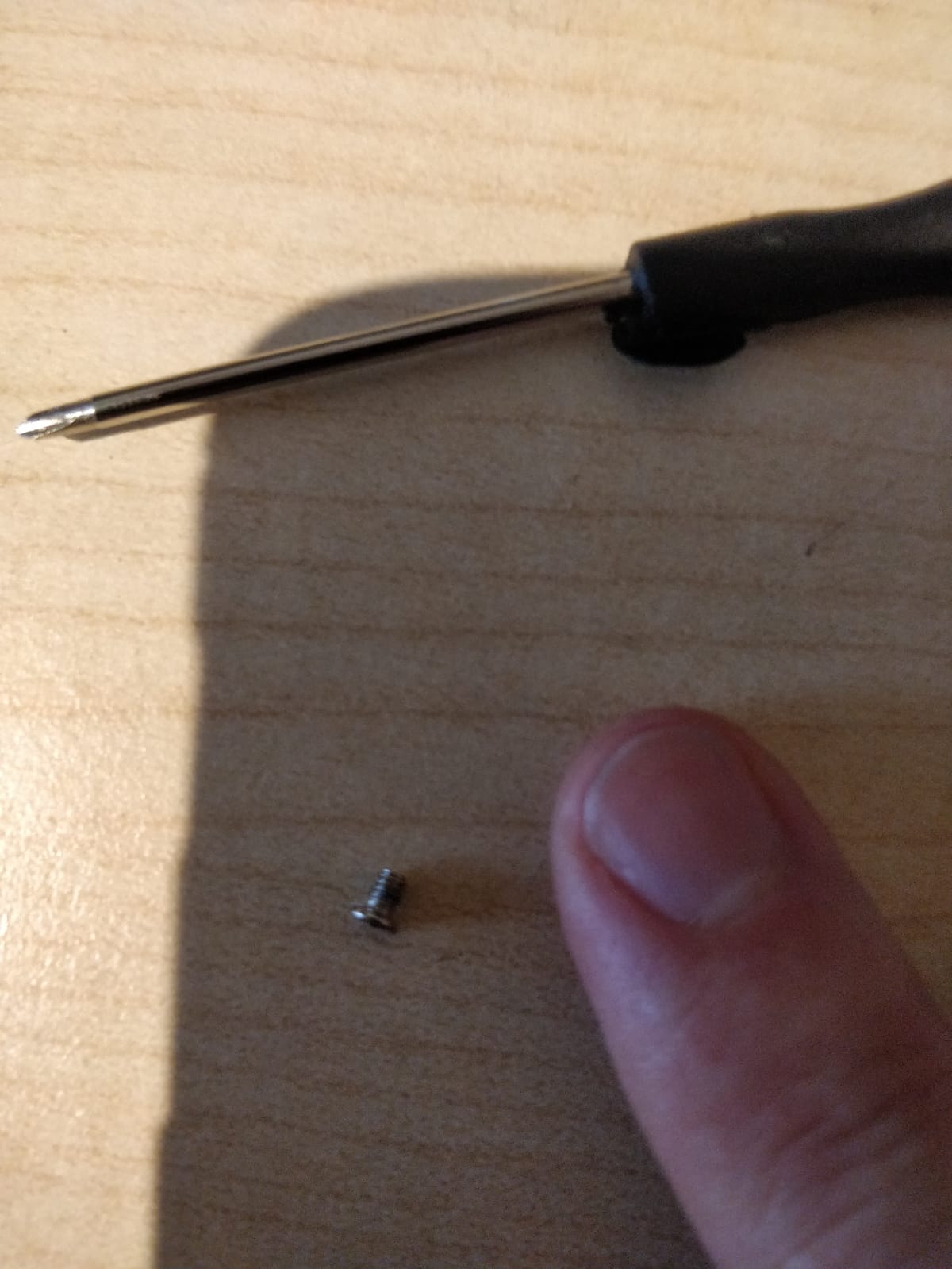 tiny screw